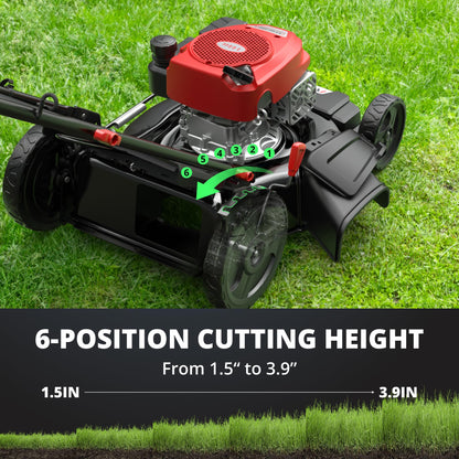 AMERISUN 21" Gas Push Lawn Mower | 144cc 4-Stroke OHV | 2-in-1
