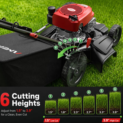 AMERISUN 21" Self-Propelled Gas Lawn Mower | 170cc OHV | 3-in-1
